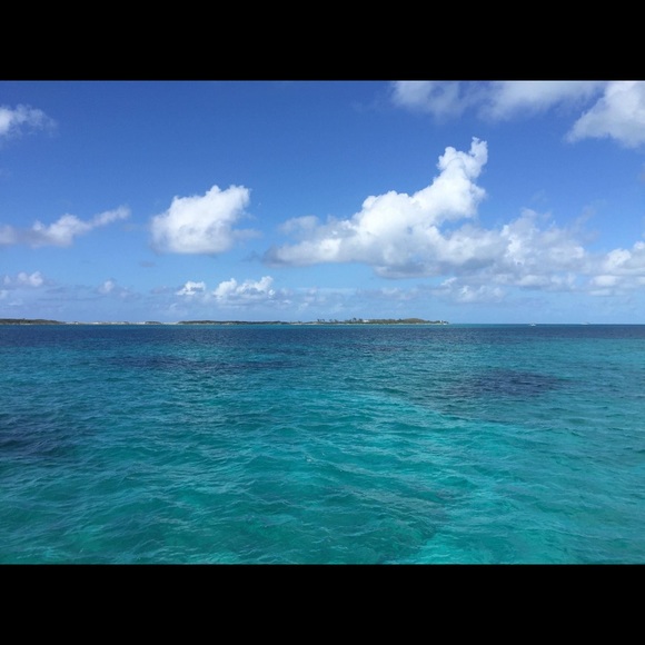 Meet your Posher, Janae - Picture 1 of 1